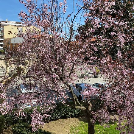 Apartamento Dacosta Plasencia Buitenkant foto